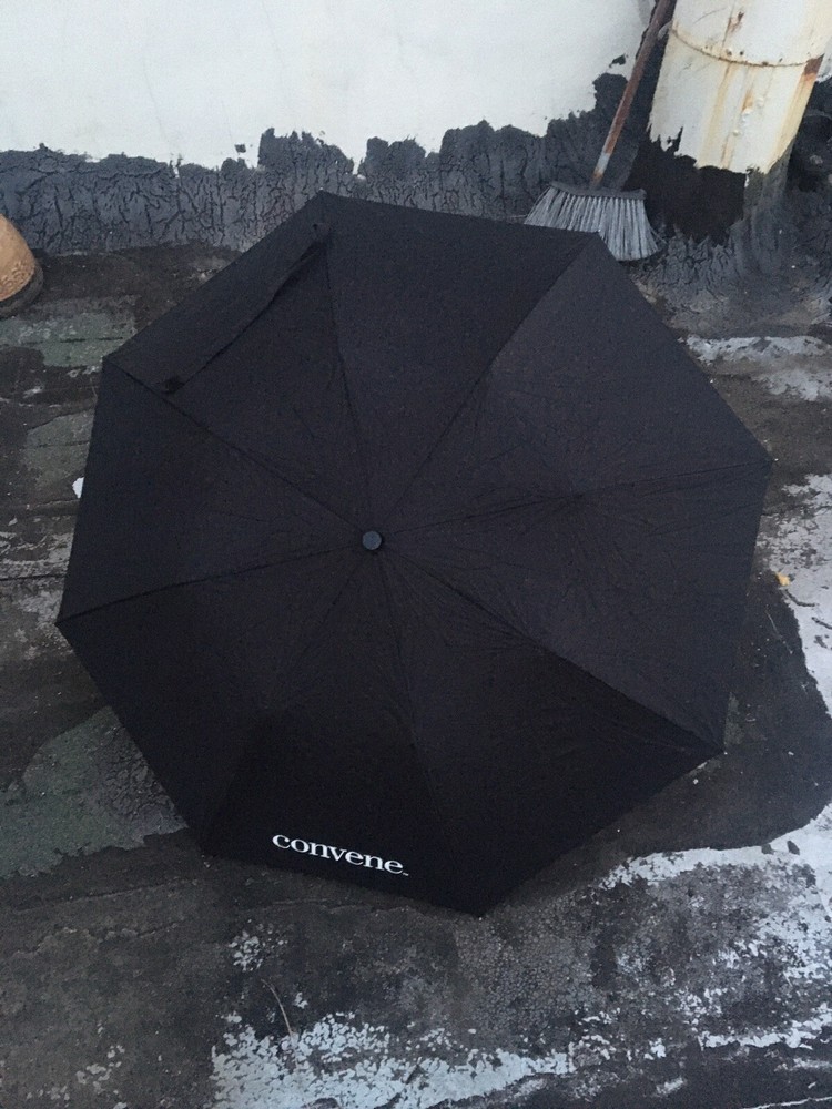 PEERLESS 76730 Umbrella Black Auto Open