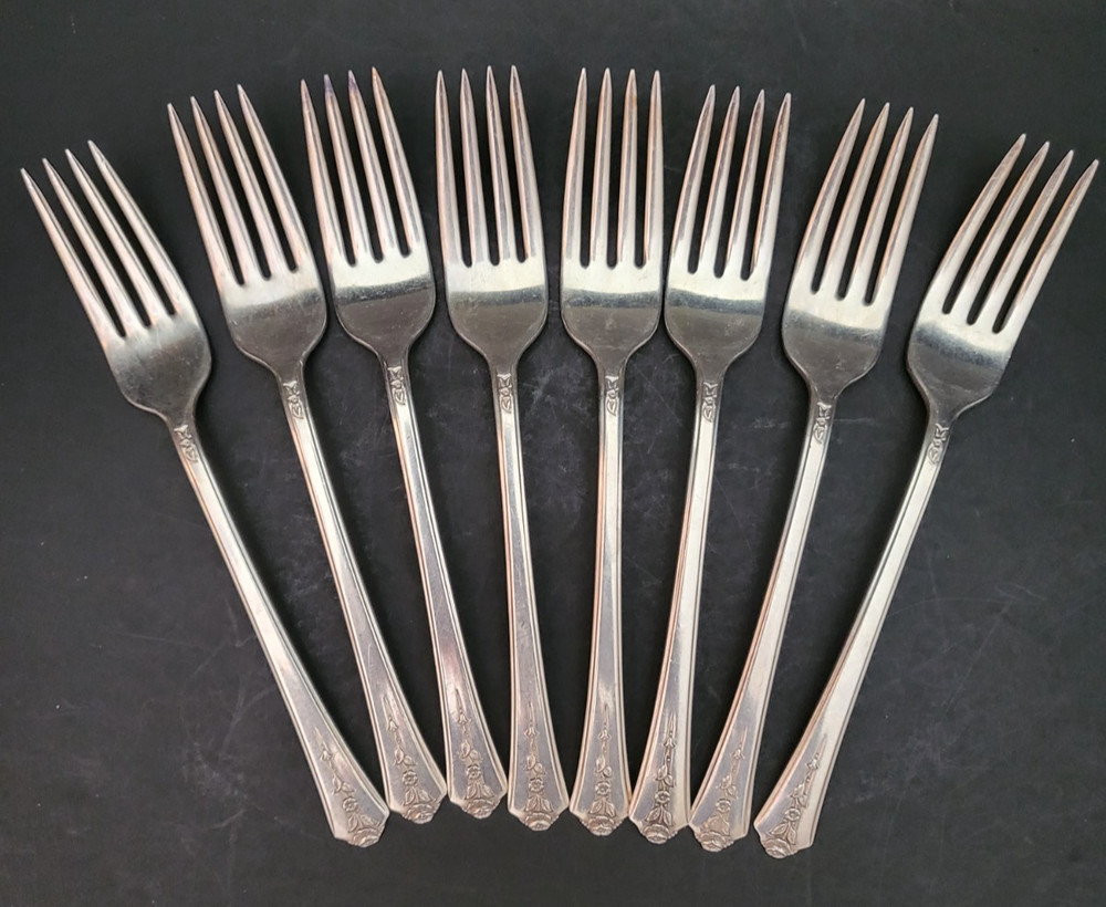 Holmes & Edwards Inlaid I|S Spring Garden -57 piece Silverware Set Naken's Chest