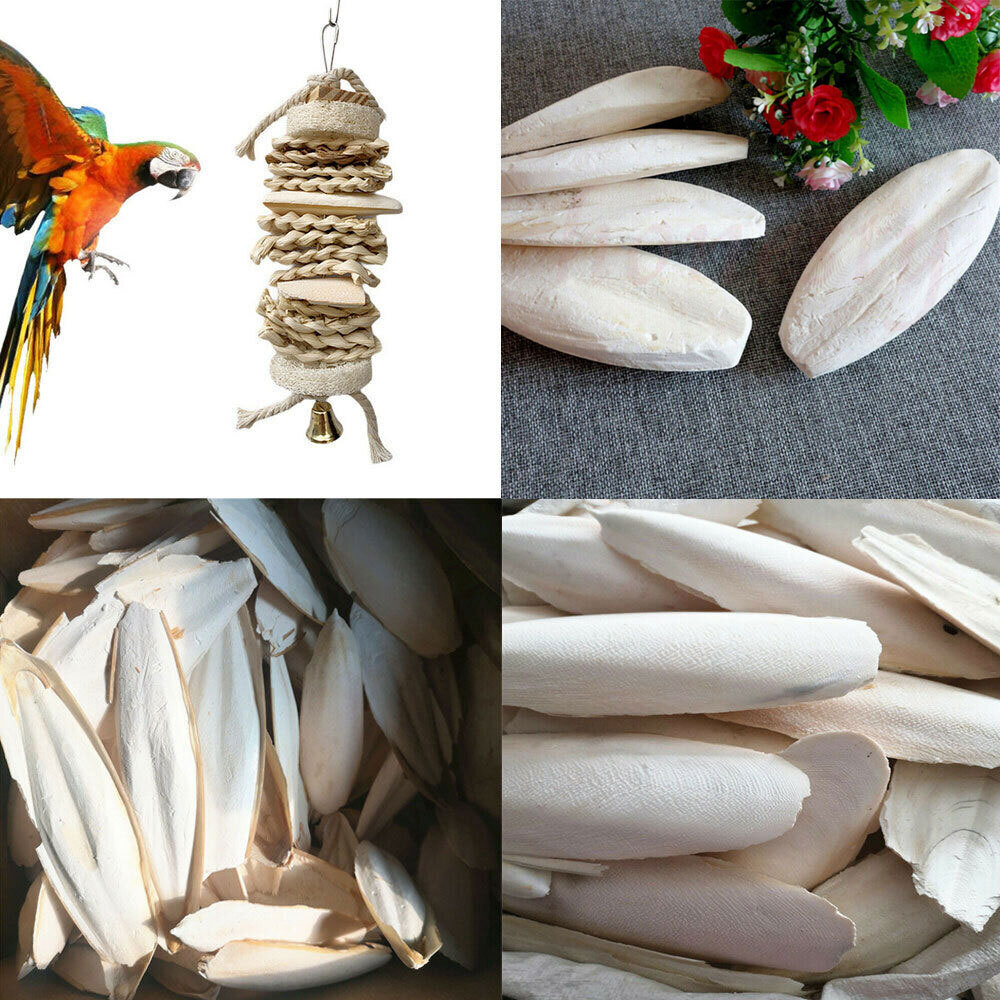 20 PCS Cuttlebone for Birds Parrot Chewing Cuttle Bone for Sharp Beaks USAA+
