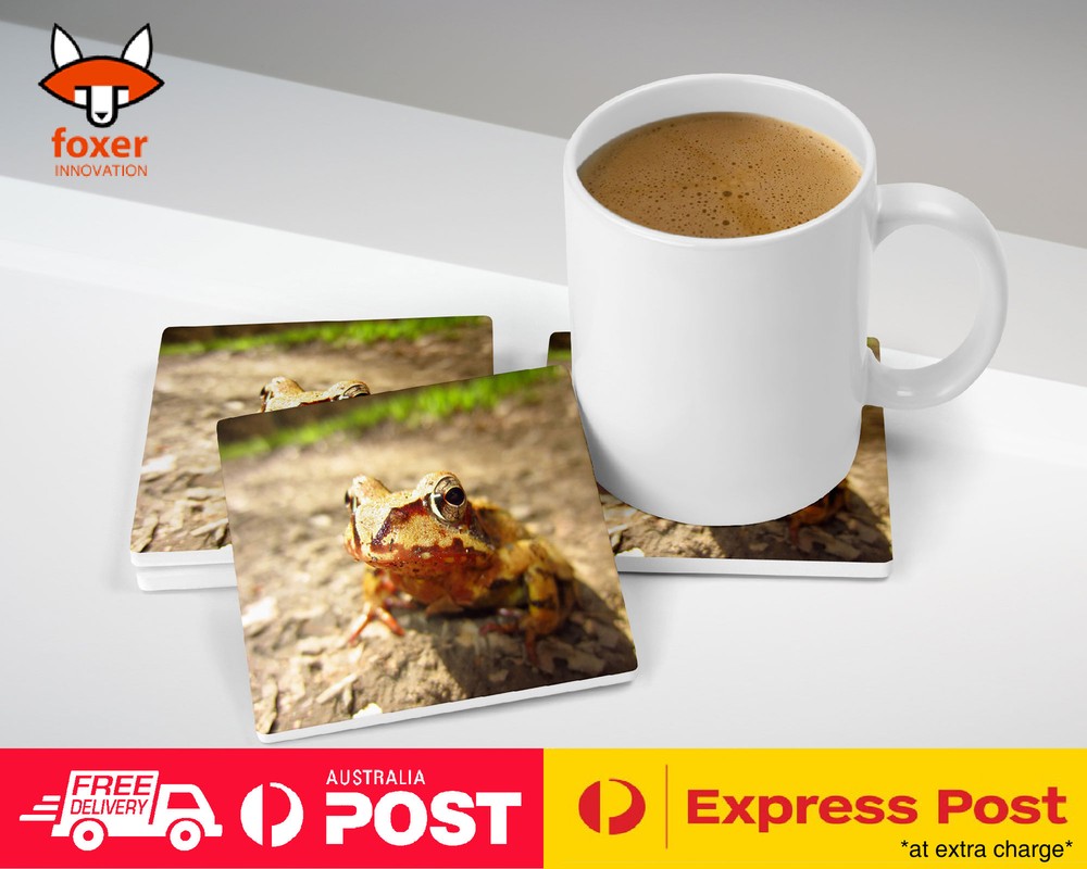 COASTER COFFEE DRINKING MAT|FROG TOAD AMPHIBIANS REPTILE #26