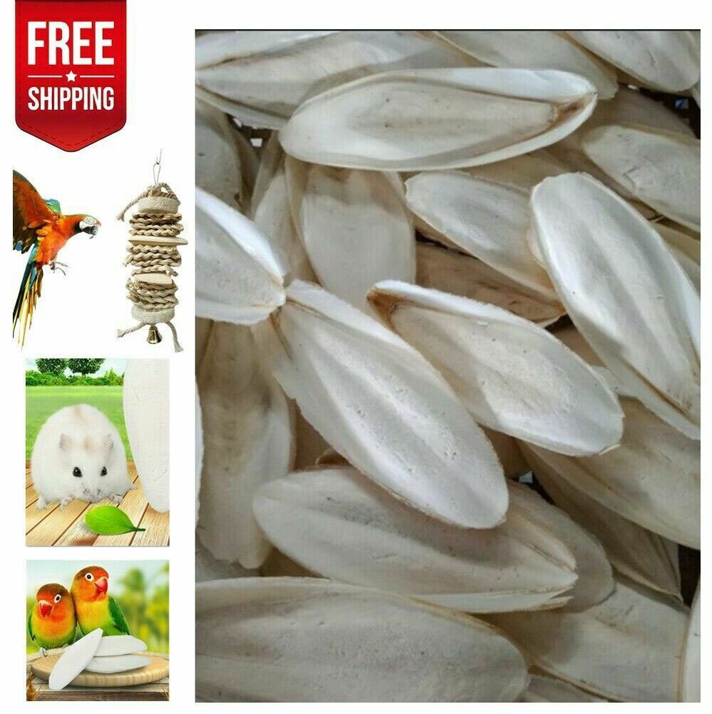 20 PCS Cuttlebone for Birds Parrot Chewing Cuttle Bone For Sharp Beaks USAA