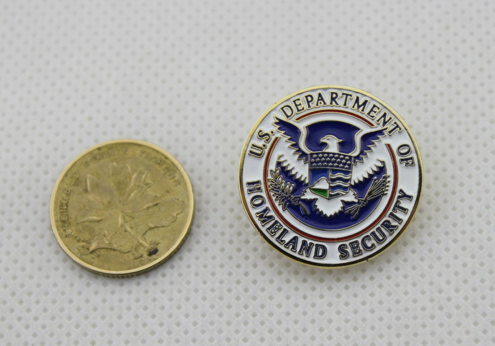 DHS lapel pin