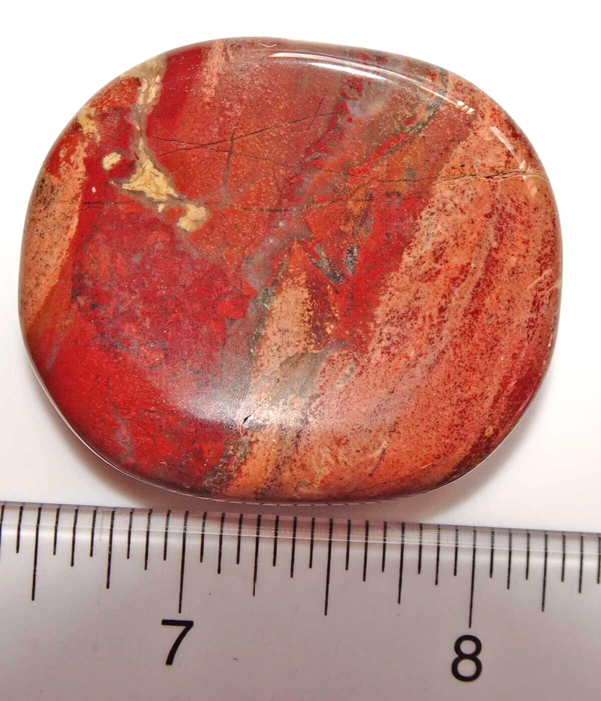 Petrified Wood Worry Stone sc807d