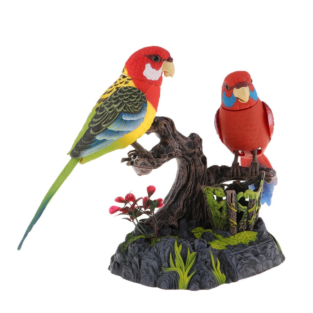 Recording Session Learning Parrot Voice Controlled Children's Induction Toy