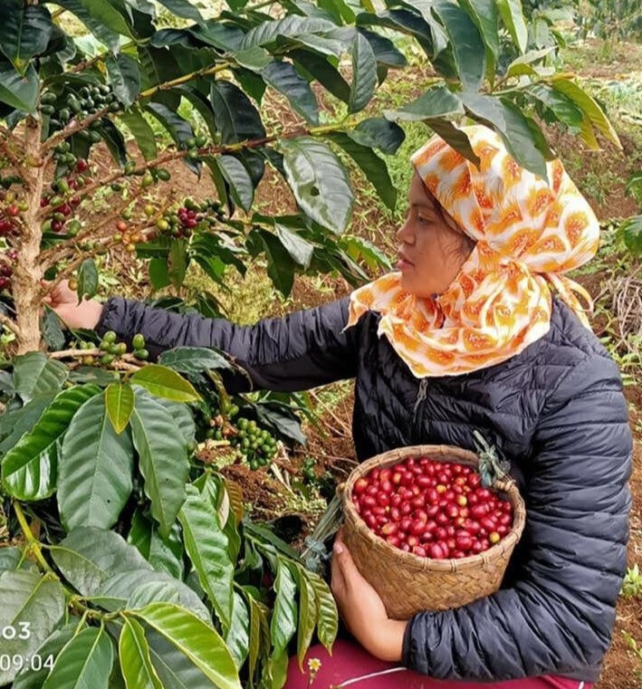 Philippines Coffee Subscription