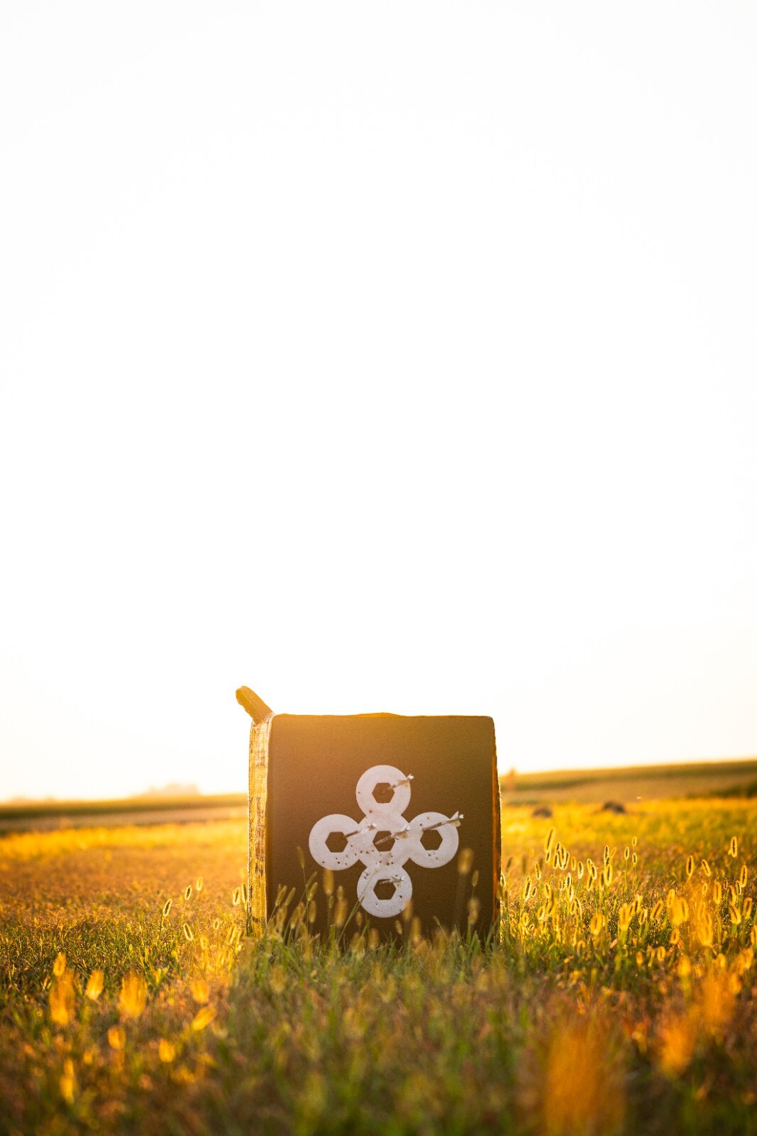 Morrell Yellow Jacket YJ-350 Dual Threat Block Target Crossbow Compatible