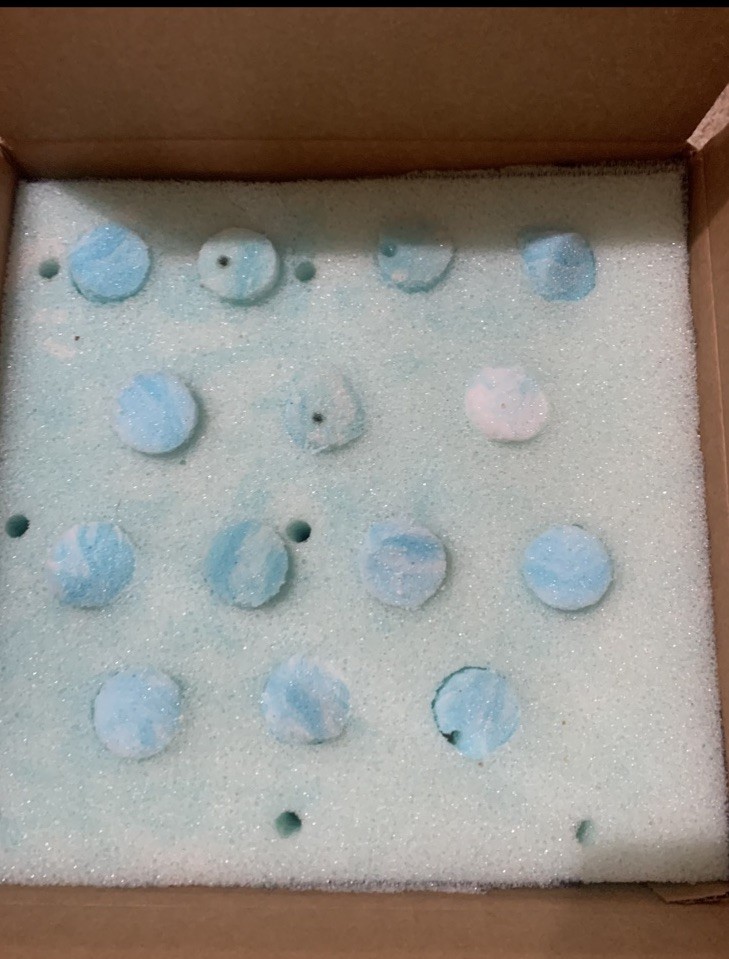 12++ Assorted RARE Color Brahma Hatching Eggs