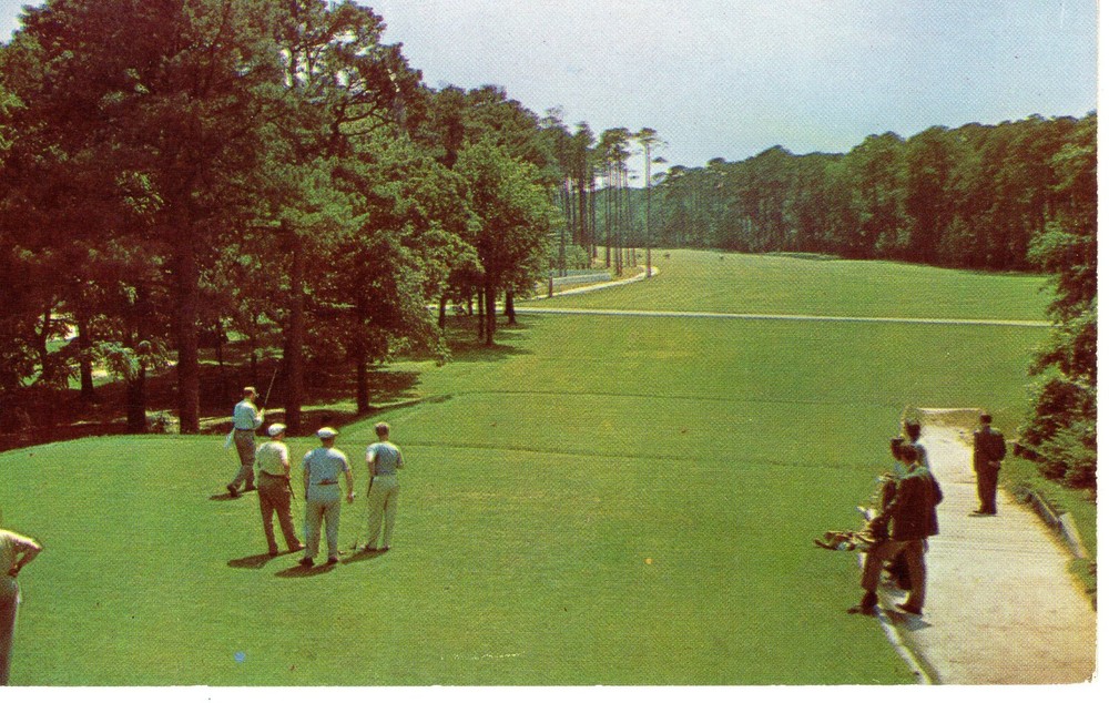 GOLFING ON A BEAUTIFUL COURSE - PC3506