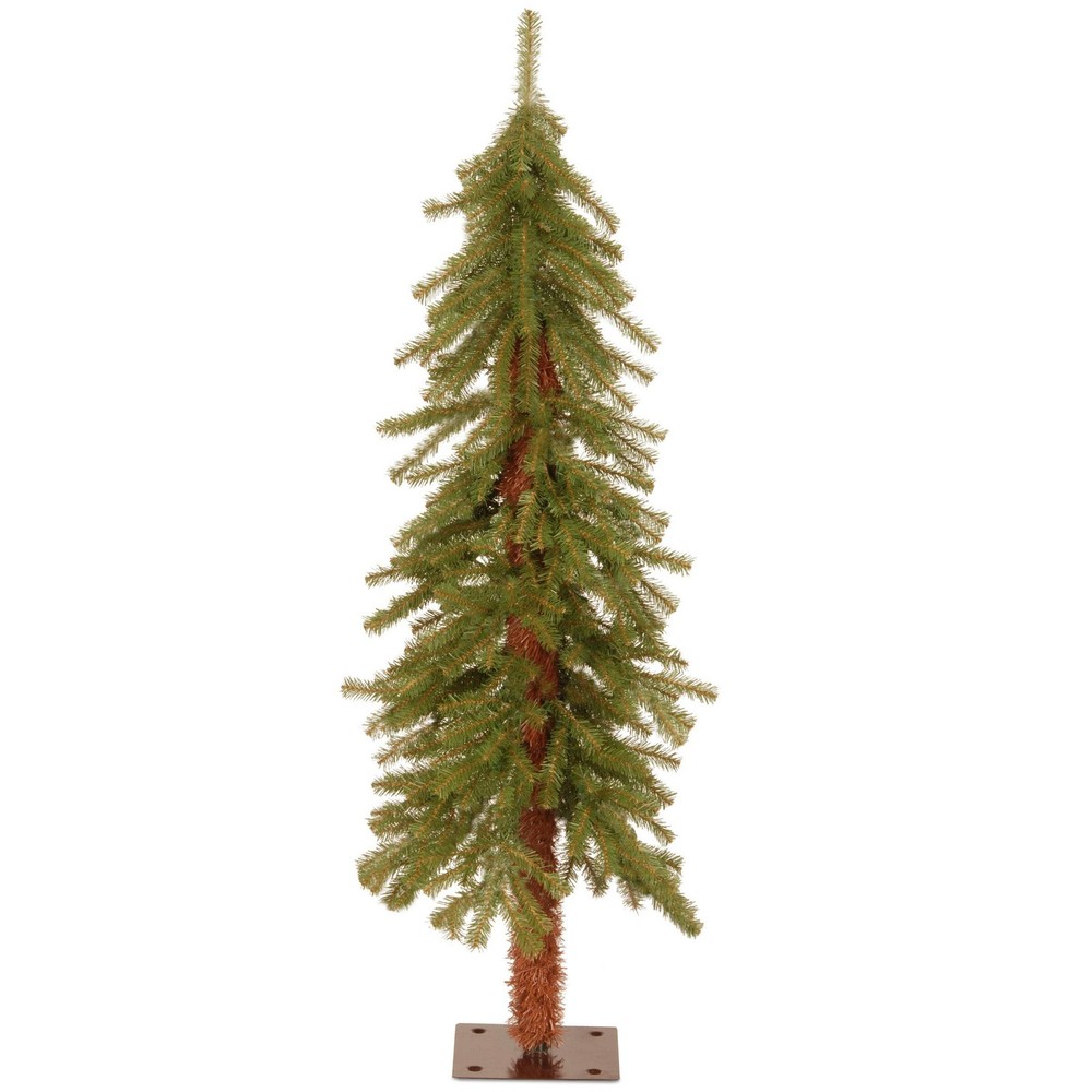 4 ft. Hickory Cedar Tree