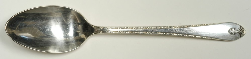 International Silver Exquisite  Teaspoon 246629