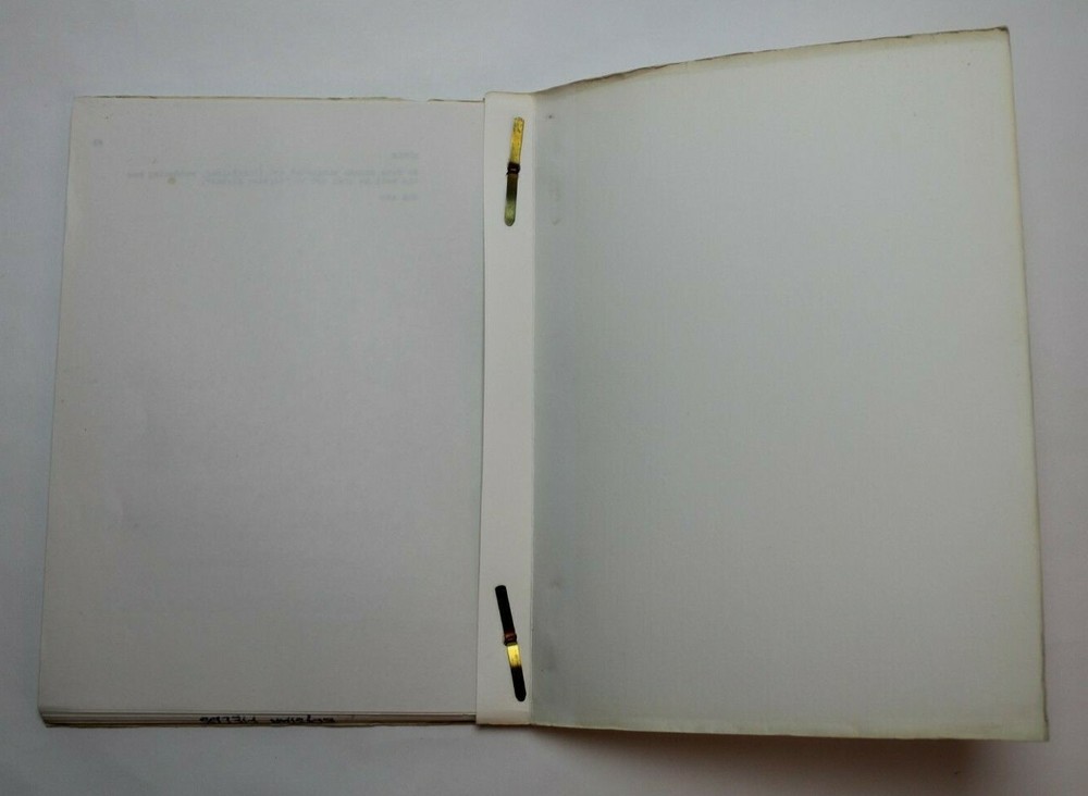 CBS SUMMER PLAYHOUSE / Joan Tewkesbury 1987 TV Script, "Elysian Fields"