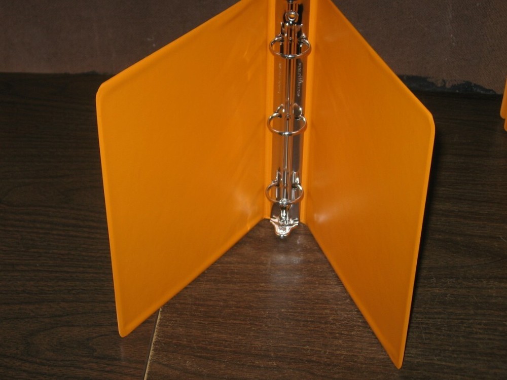 100 Glassine Stock Pages Sunburst Orange Binder Display US Stamp Plate Blocks