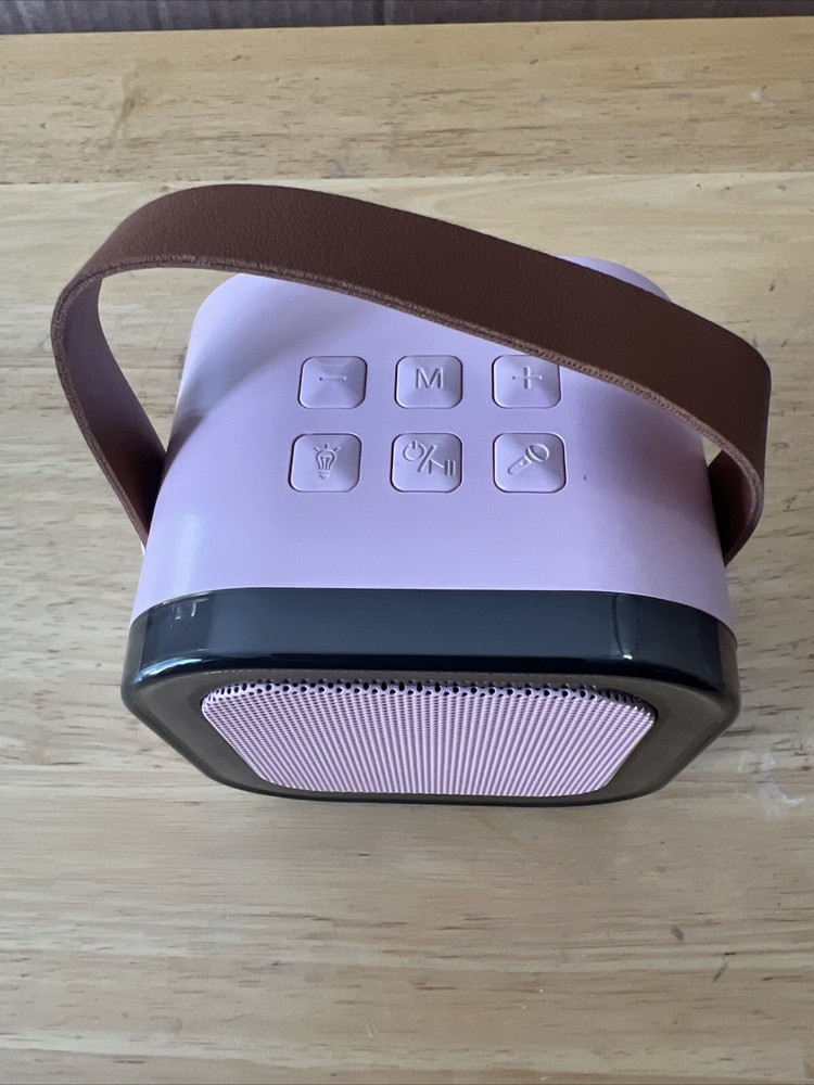 Karafun Iroo Mini Karaoke Machine With One Microphone Pink