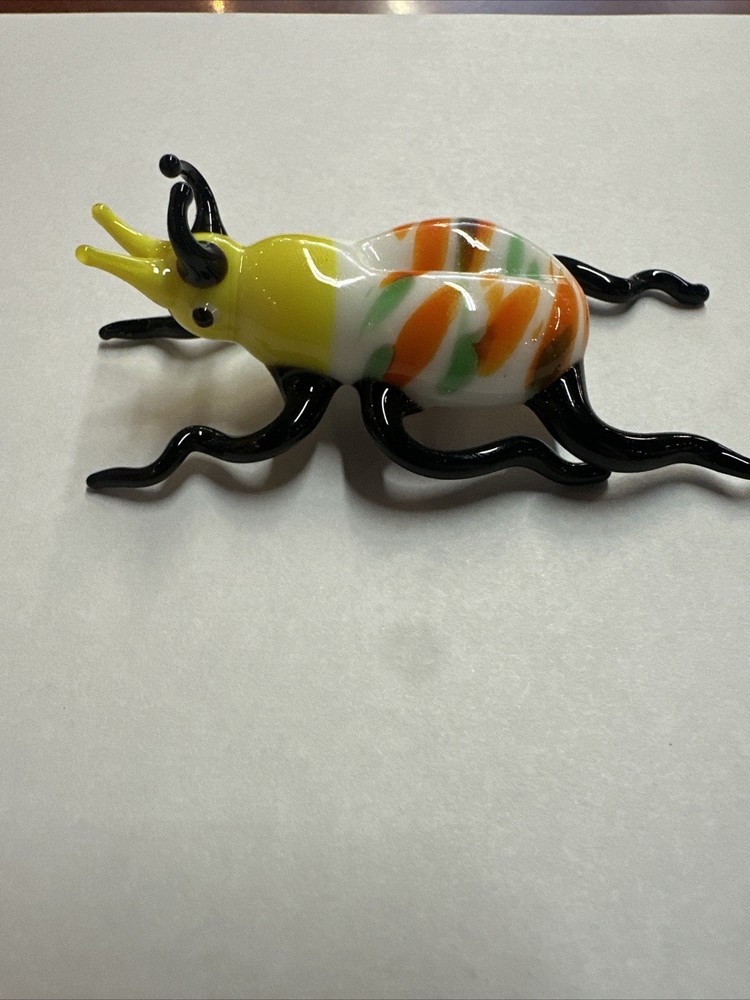Glass Insect, Bug