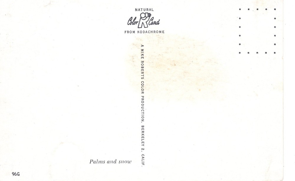 PALMS AND SNOW - PC7252