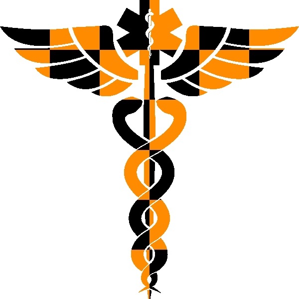 30 Custom Halloween Camo Caduceus Personalized Address Labels