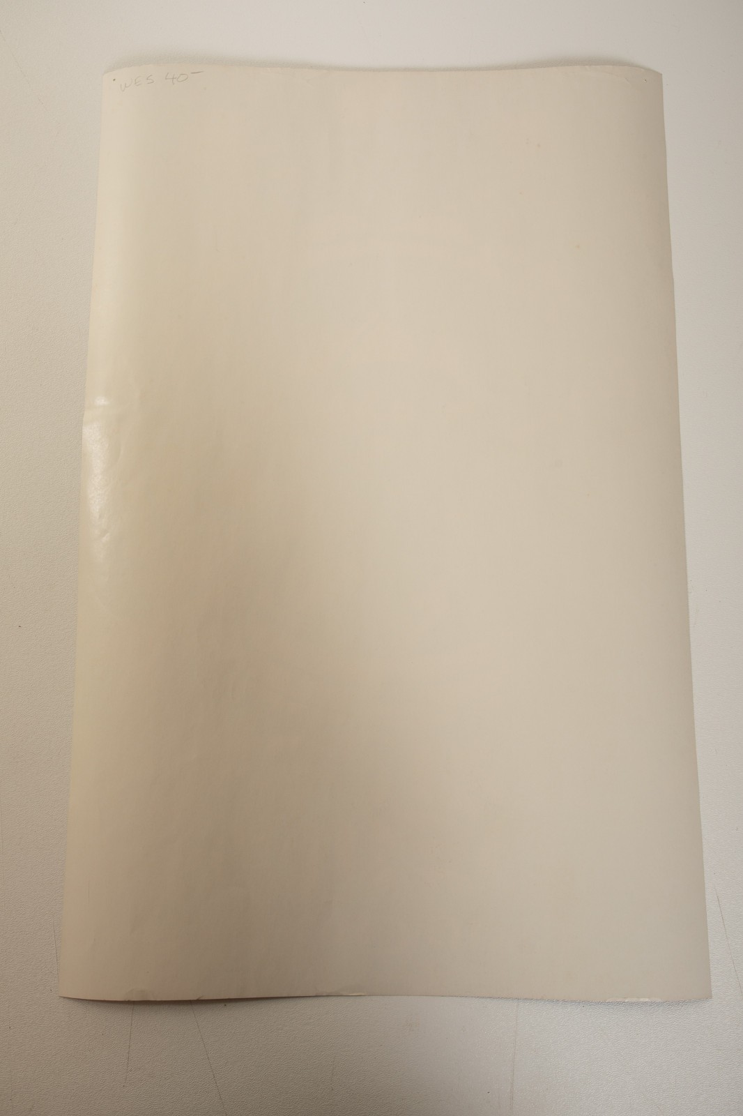 Grateful Dead Blue Cheer Concert Poster (HSE/JSF6) 1968 Shrine Rick Griffin 1st