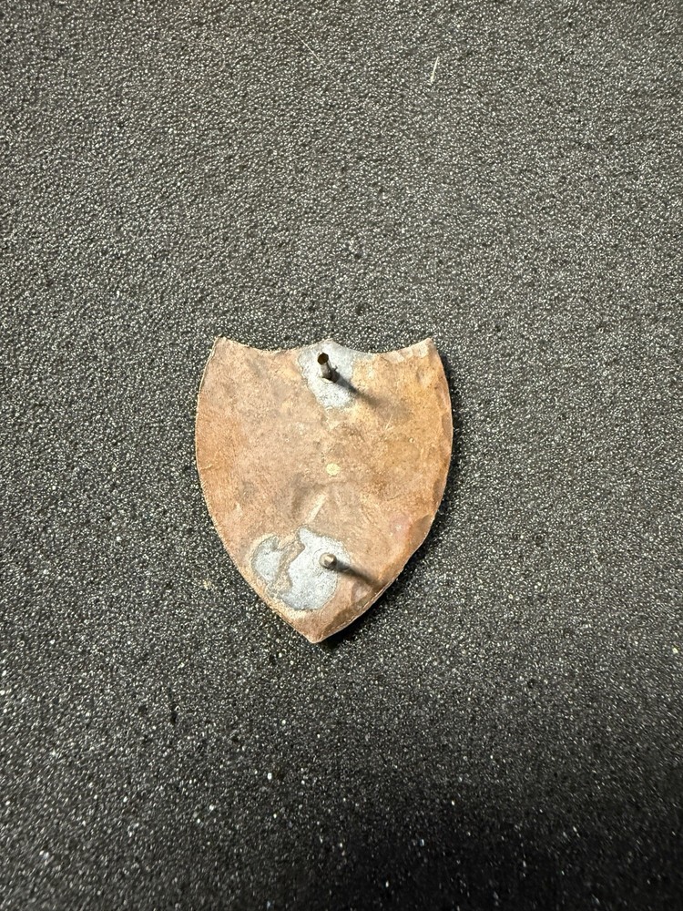 Vietnam War Military Crest Pin