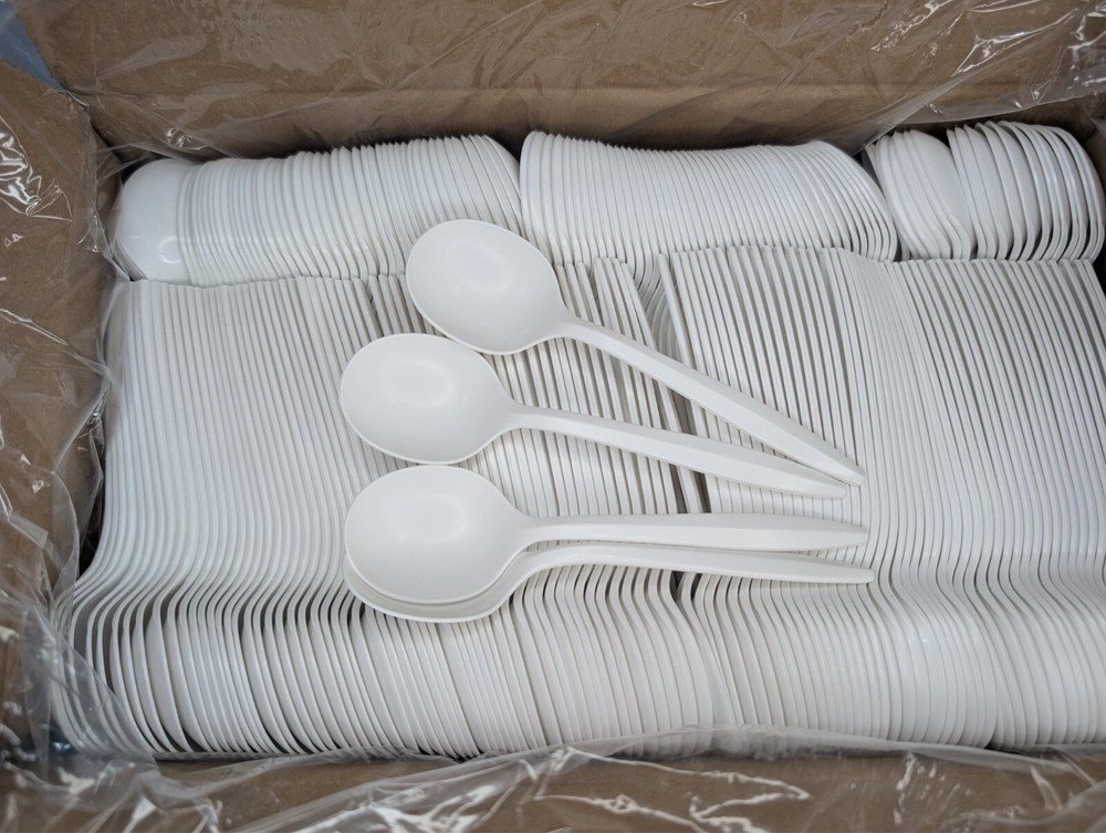 Medium Weight Disposable Plastic Spoon 1000- Bulk White Plastic Silverware