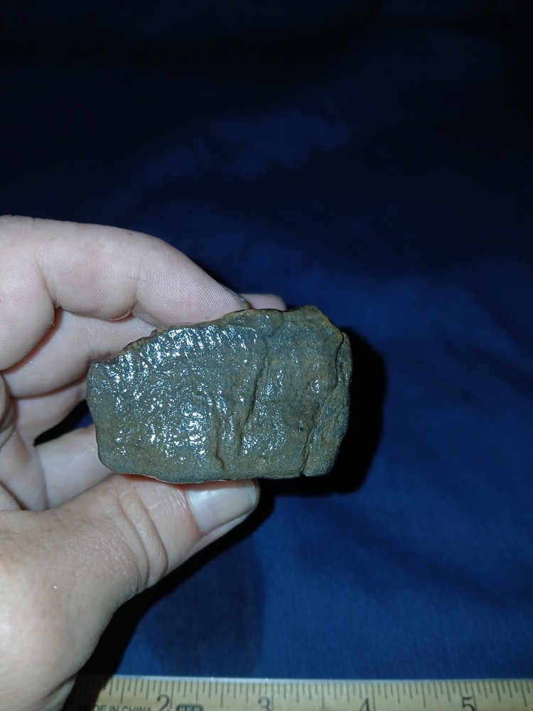 6 oz Texas Petrified Wood