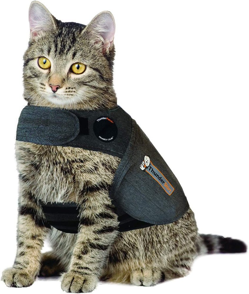for Cats, Grey, Large ( 13 Lbs)