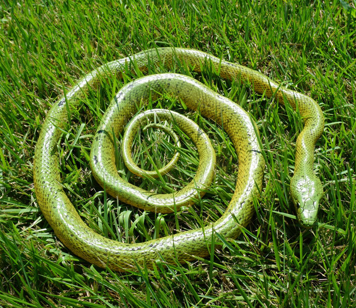 Green Mamba -52" Realistic Snake Replica - Rubber AAA