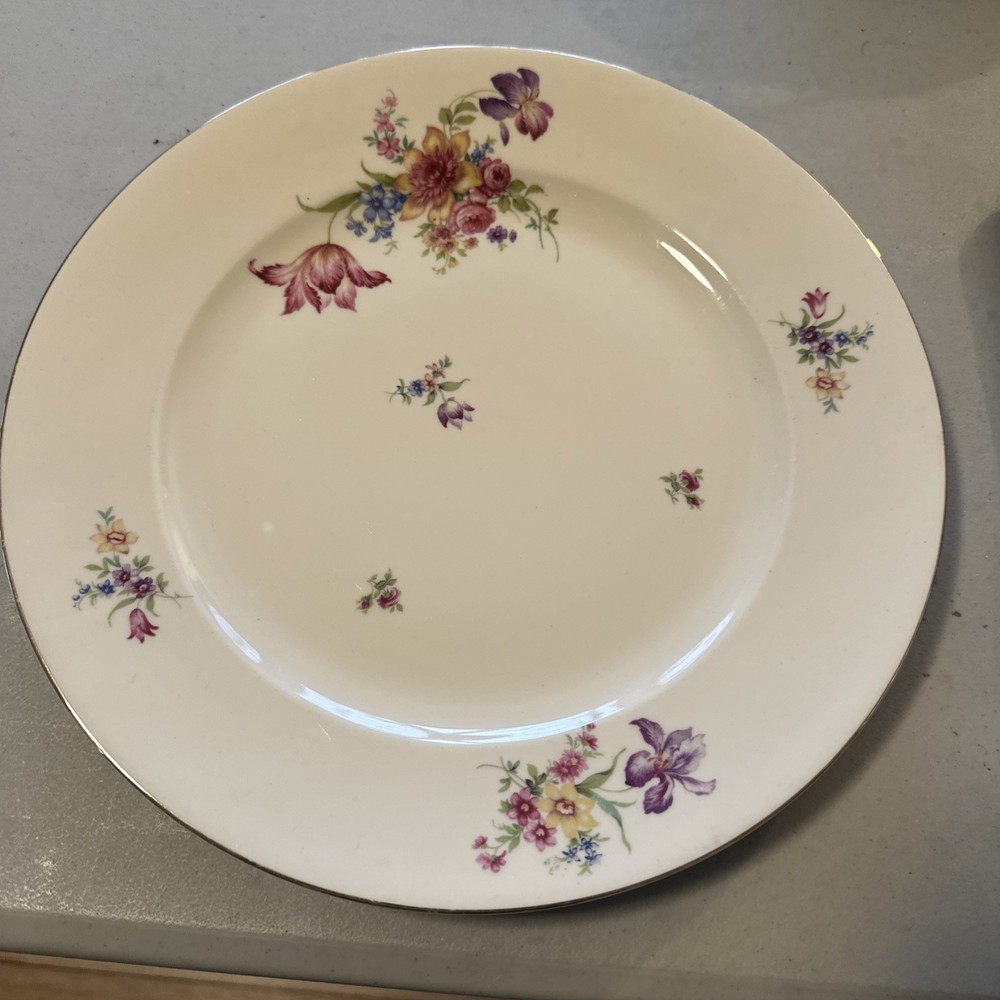 Vintage Rosenthal Continental Dinner Plate 11"
