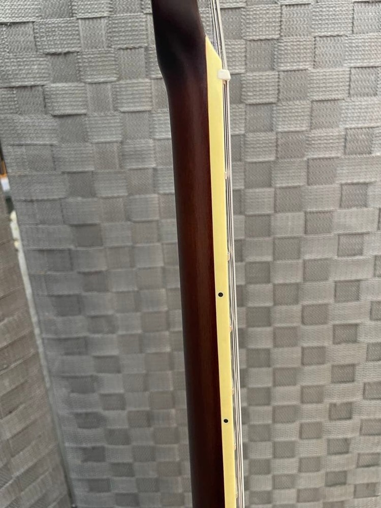 Bacchus BARON-STD/WH P90 Pickup with Case