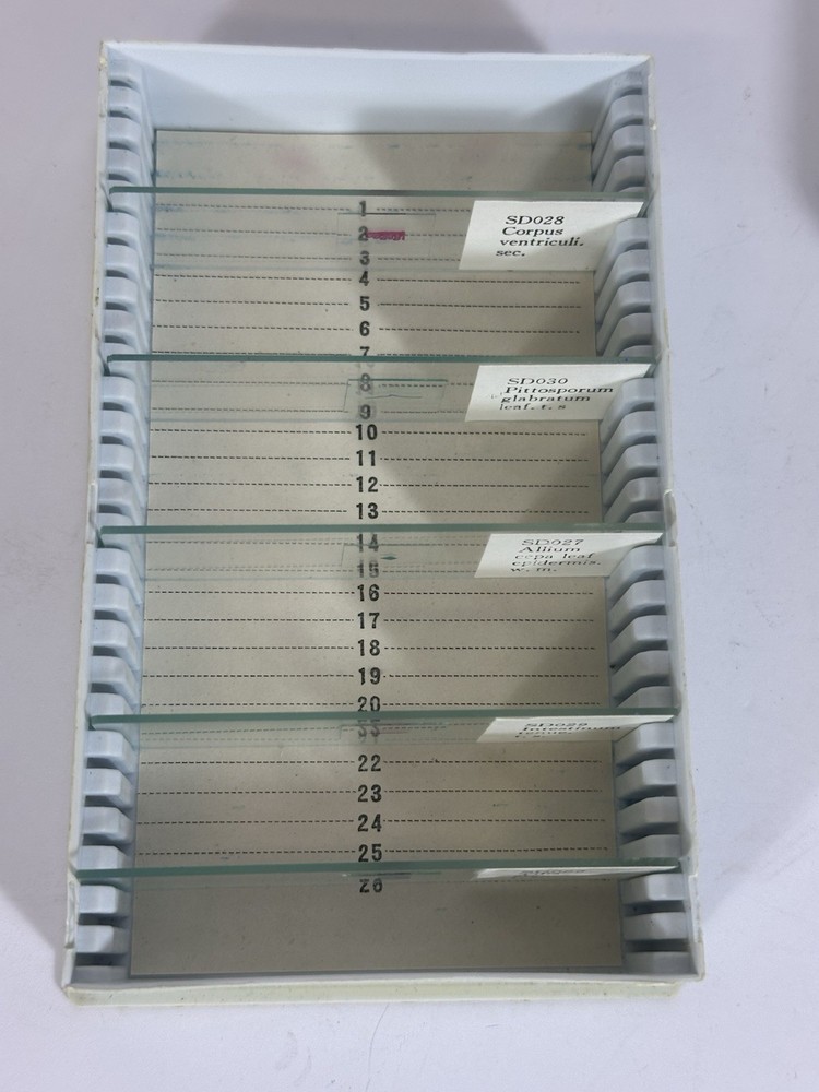 Meade Microscope Slide Set Prepared 5 Slides Biology Science