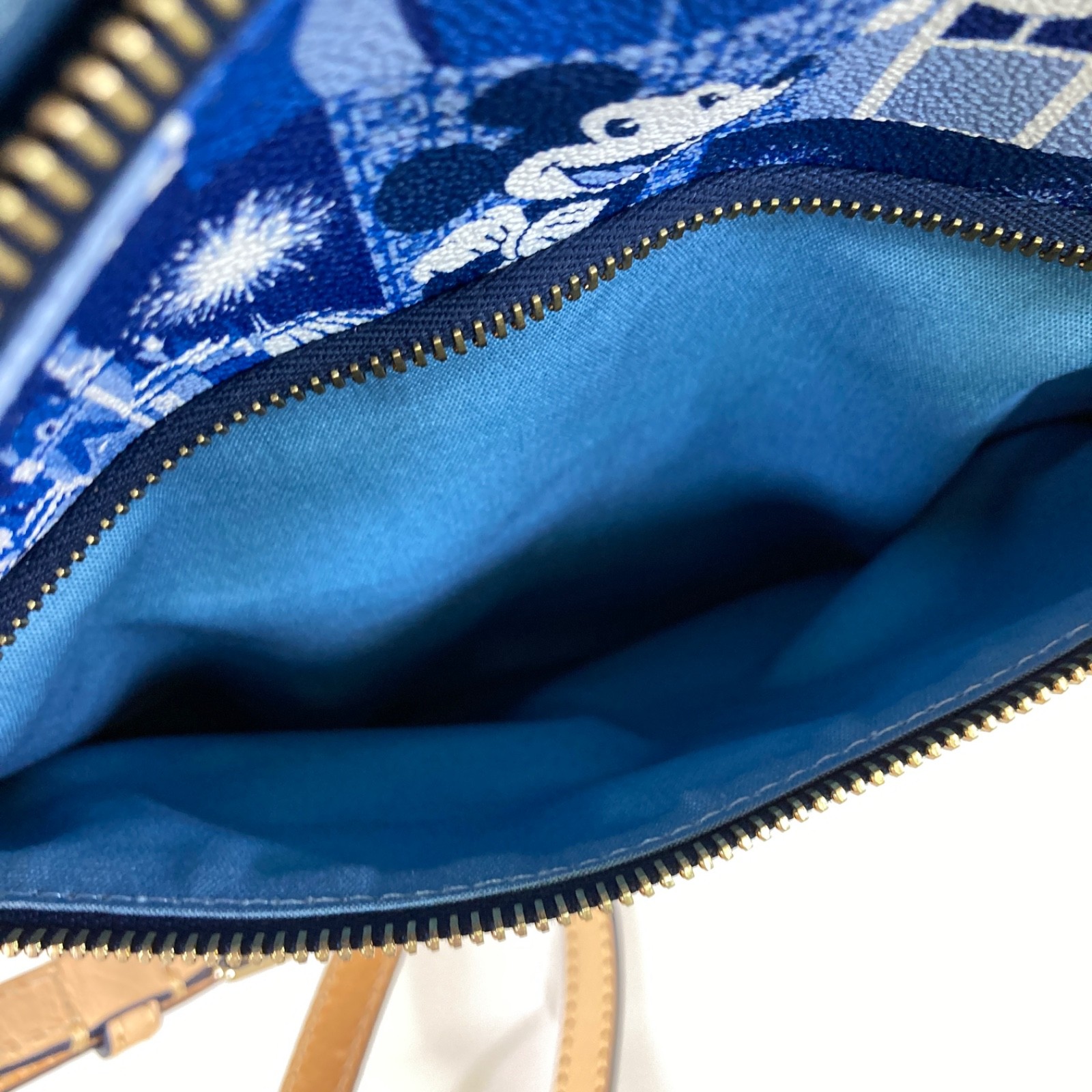 Disney Dooney & Bourke Letter Carrier NWT 2016 Magic Kingdom 45th Anniversary