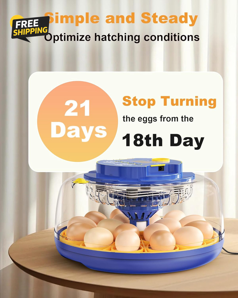 18 Chicken Egg Incubators for Hatching Eggs: Egg Incubator with Automatic Egg