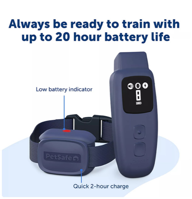 PetSafe Basic Dog Training Collar Remote 300ft Waterproof Rechargeable