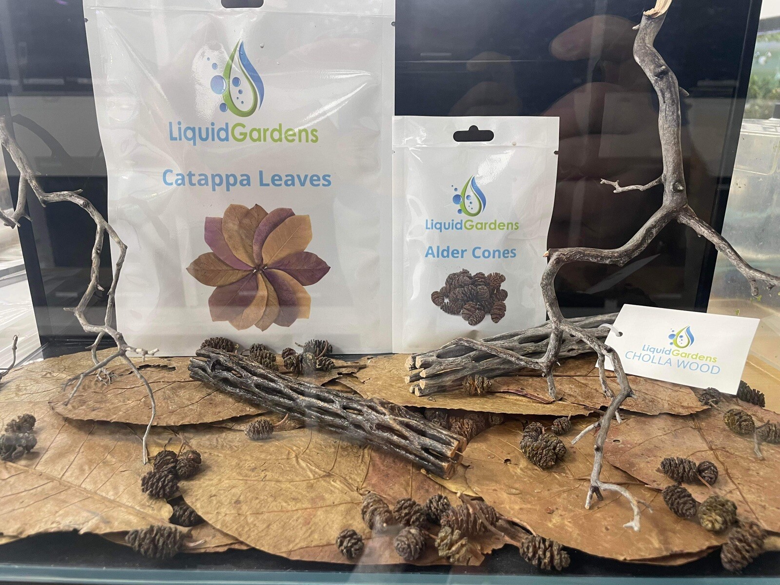 Catappa Leaves 10 Count “liquid Gardens” Almond Leaves Shrimp Botanicals Betta