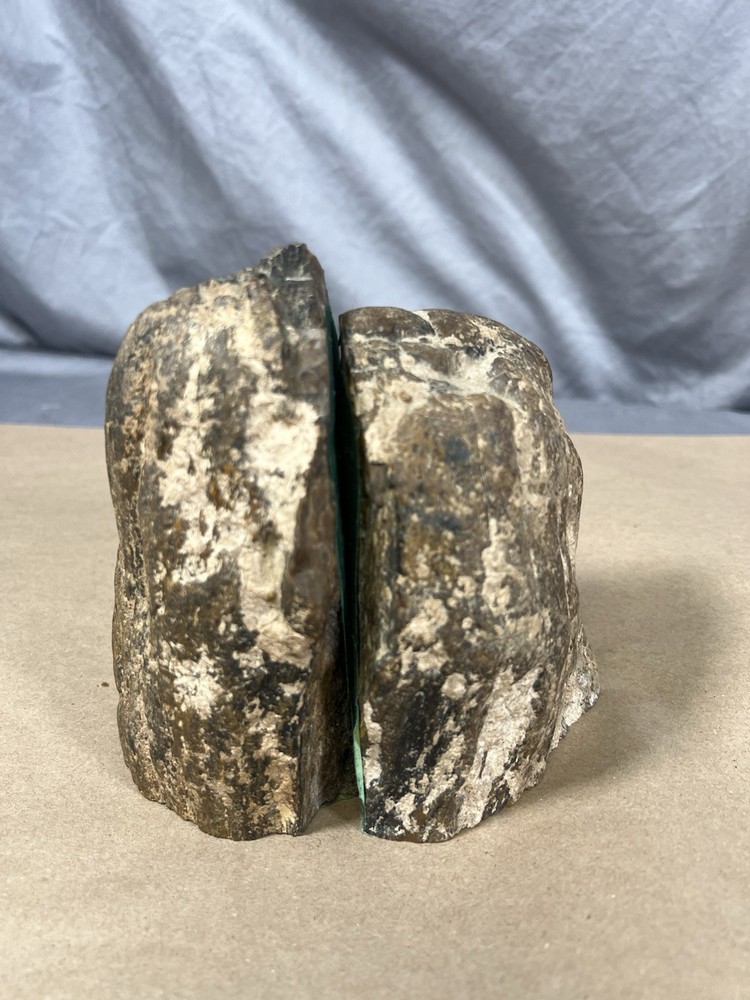 Petrified Wood Bookend Pair with felt padding