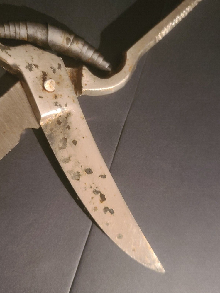 Vintage Poultry Chicken Shears Scissors Kitchen Tool Spring Opening UNMARKED