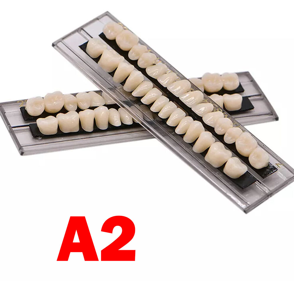 Dental Acrylic Resin Denture Shade A2 A3 Upper Lower Full Set False Teeth