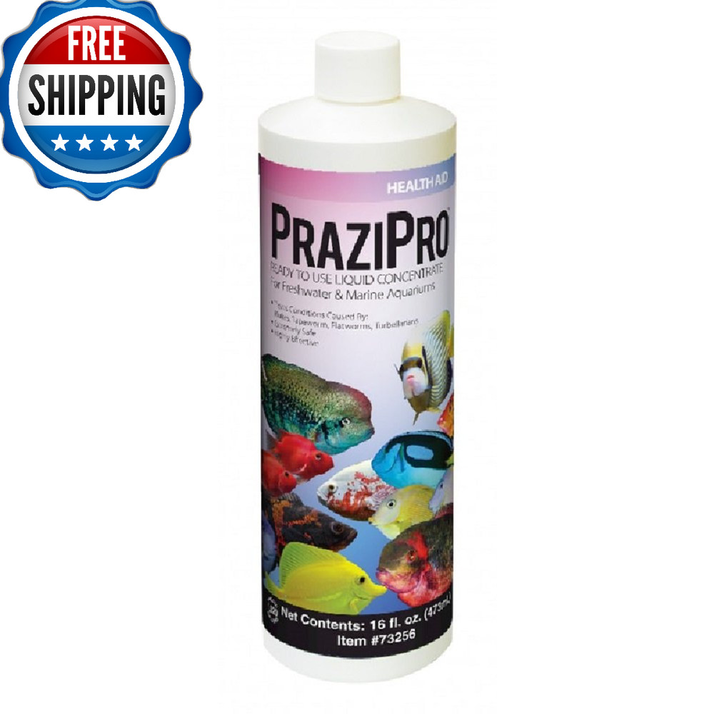 Hikari Prazipro 16oz