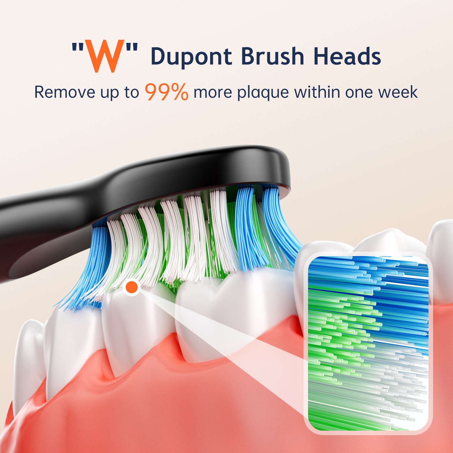 Fairywill Electric Toothbrush Sonic Toothbrush USB Rechargeable 6 Heads 5 Modes