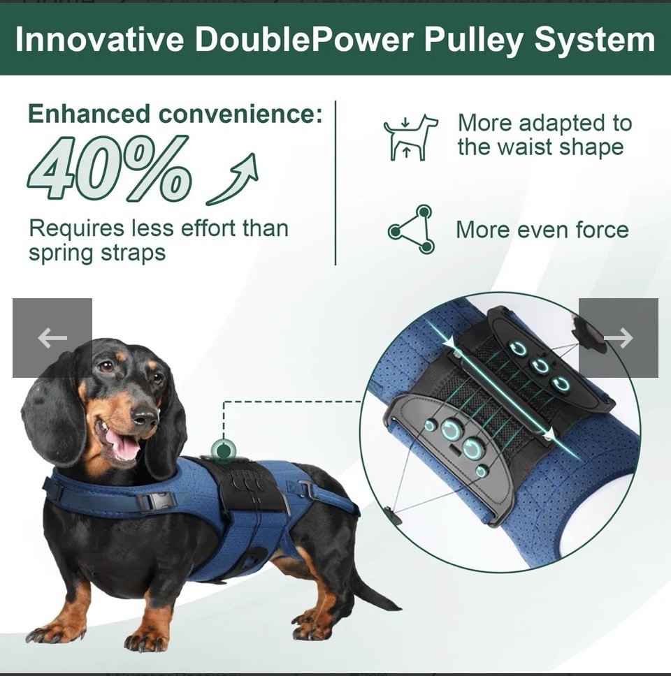 Haggemi Dog Back Brace Support-XL