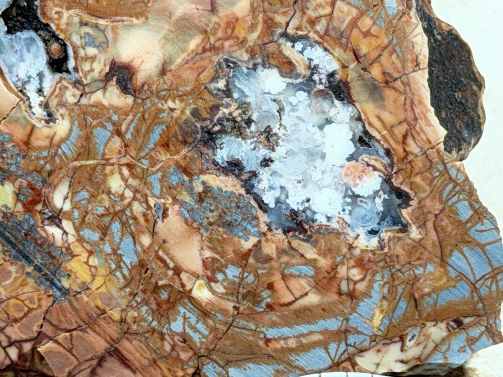 Cold Mountain Jasper Half Nodule, Lot#203