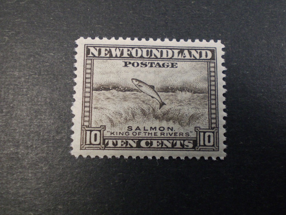 NEWFOUNDLAND #260   MNH