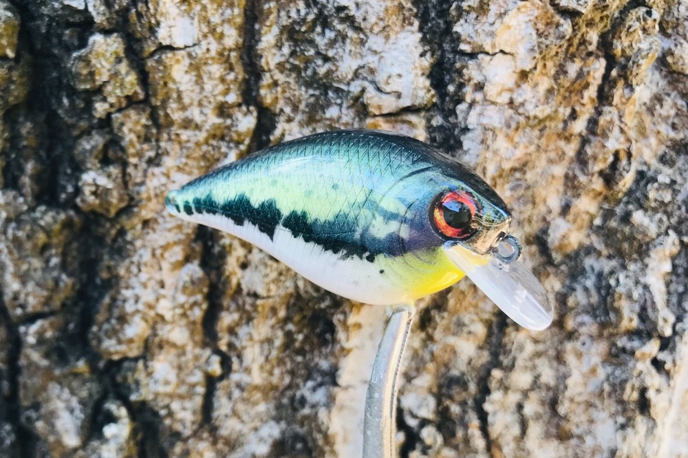 SPEEDBAITS Custom Airbrushed Crankbait