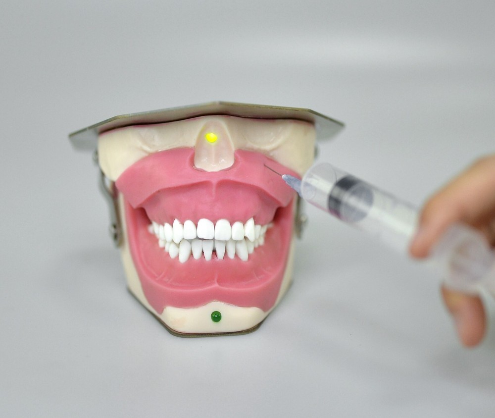 Dental Anesthesia Tooth Extraction/removal Practice Model Dentist Training