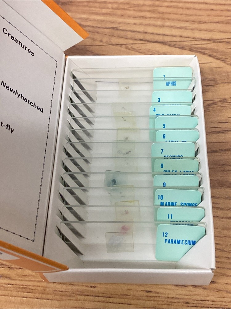 Vintage Sears & Robuck 60 (59) Prepared Educational Specimens Slides Microscope