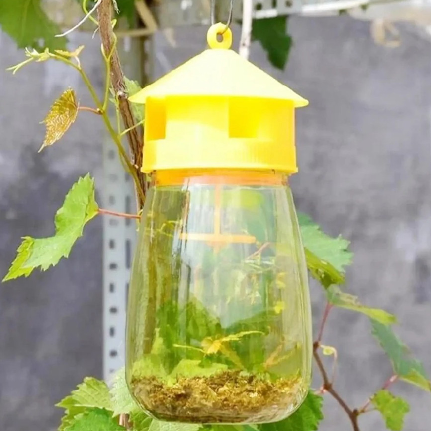 3pcs Fruit Fly & Insect Trap – Outdoor Plastic Hanging Drosophila Killer - NEW