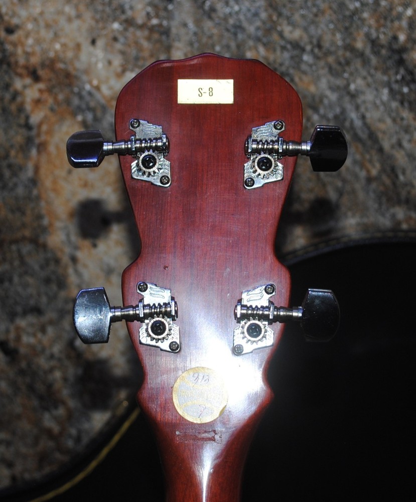 Seville 5-String Banjo