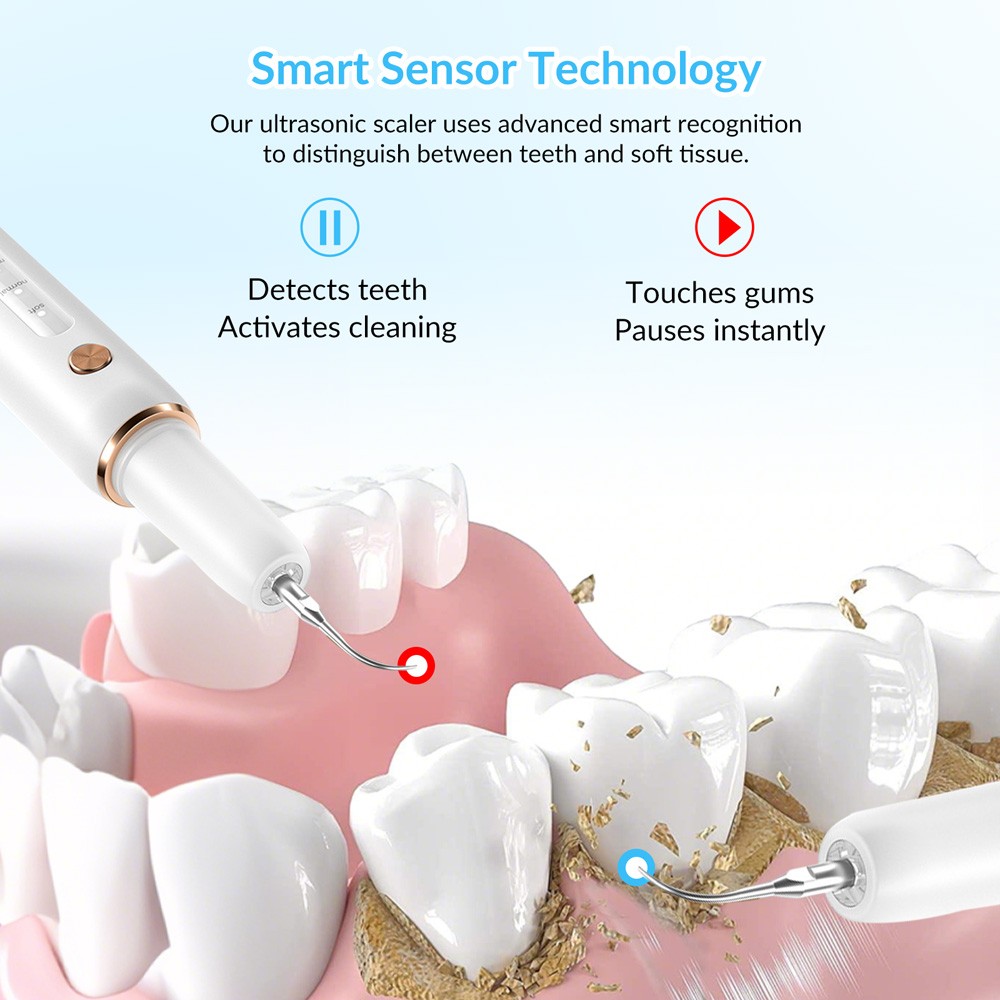 Precision Ultrasonic Dental Scaler with Adjustable Intensity Modes USB Powered
