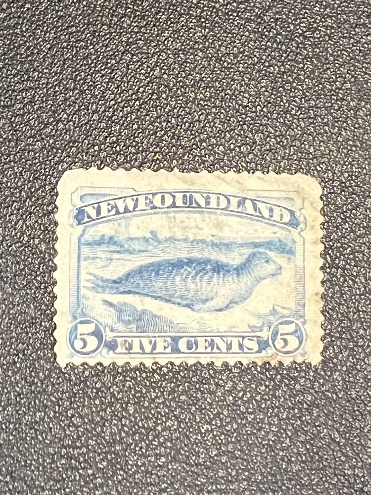Newfoundland stamp 54 used