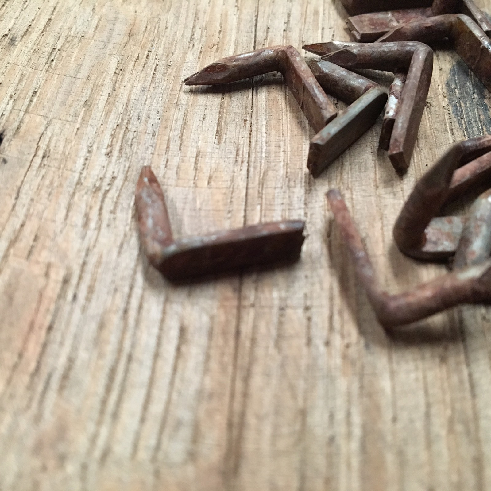 Hoop Nails Galvanized Vintage Look 50 QTY Barrel NAILS Whiskey Wine Wood Band