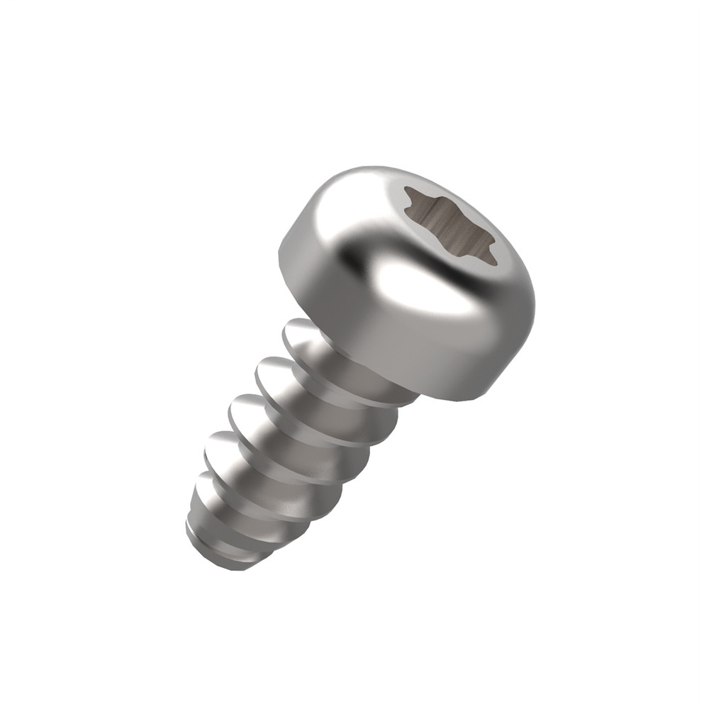 Toolgrid 89049 T20 Torx Screws 500 Pack for Toolgrid Board Holders
